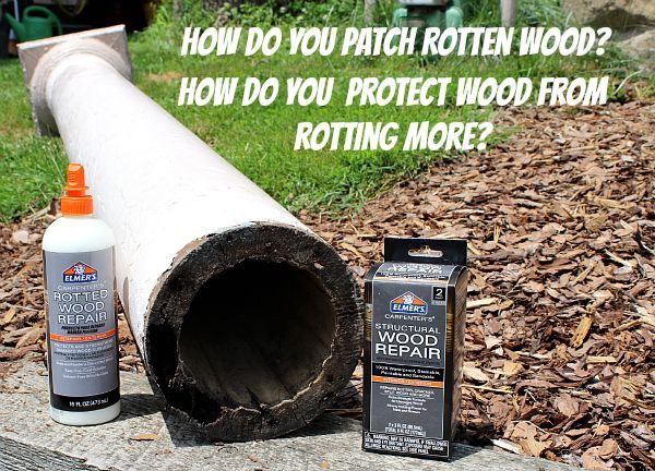 rotten wood repair a two prong attack with the help of elmer, woodworking projects