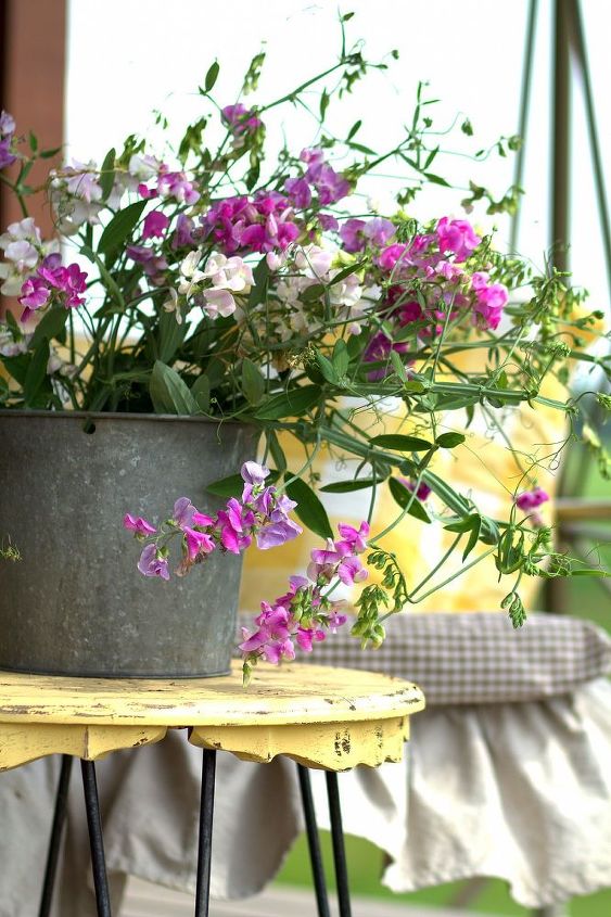 Rustic Log Home Porch Decor Using Sweet Pea Wildflowers Hometalk Rustic Log Home Porch Decor Using Sweet Pea Wildflowers Decks Porches