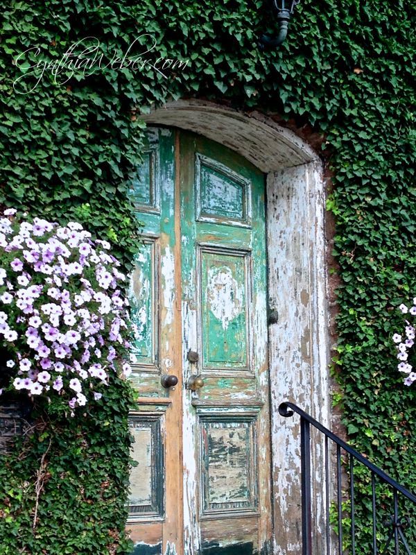 beautiful faded and fabulous doorways, curb appeal, windows, Faded doorway covered with vines in Jordan Ontario Canada be still my heart