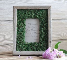 diy moss frame, crafts, DIY Moss Frame