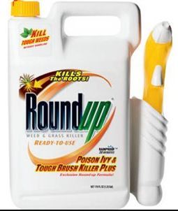 not too long ago i used roundup on some poison ivy and then also on