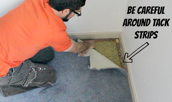 how to remove old stinky carpet a complete step by step guide, diy, flooring, how to, Start in a corner