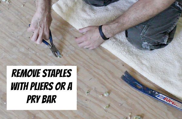 How To Remove Old Stinky Carpet A, How To Remove Stapled Hardwood Floor