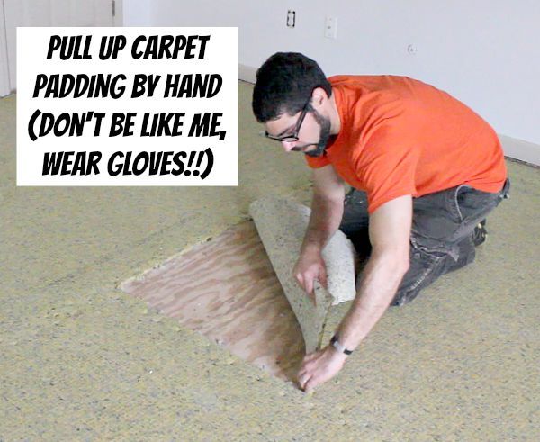 how to remove old stinky carpet a complete step by step guide, diy, flooring, how to, Pull up padding by hand but use gloves unlike me