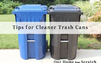 Tips for Cleaner Trash Cans