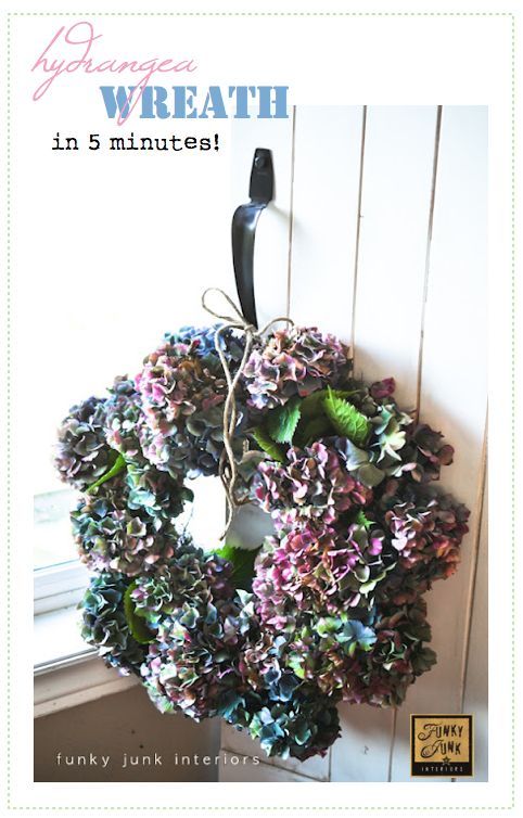 make a fresh hydrangea wreath in only 5 minutes, crafts, flowers, gardening, hydrangea, wreaths, Isn t she pretty A fresh hydrangea wreath that will last for many months to come Tip pick the blooms once they start to try on the bush They will end up more wilt free