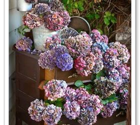 how to dry and create cool projects with hydrangeas, chalkboard paint, crafts, flowers, gardening, hydrangea, seasonal holiday decor, wreaths, You can also visit a hydrangea link party where bloggers can link up their own hydrangea projects Visit at