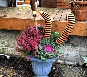 whimsical fall planters, gardening, halloween decorations, seasonal holiday d cor, Heather Chrysanthemum and Winter Kale make up this colorful urn Just stuff a pair of striped stocking and add a broom from Walmart for a whimsical added touch