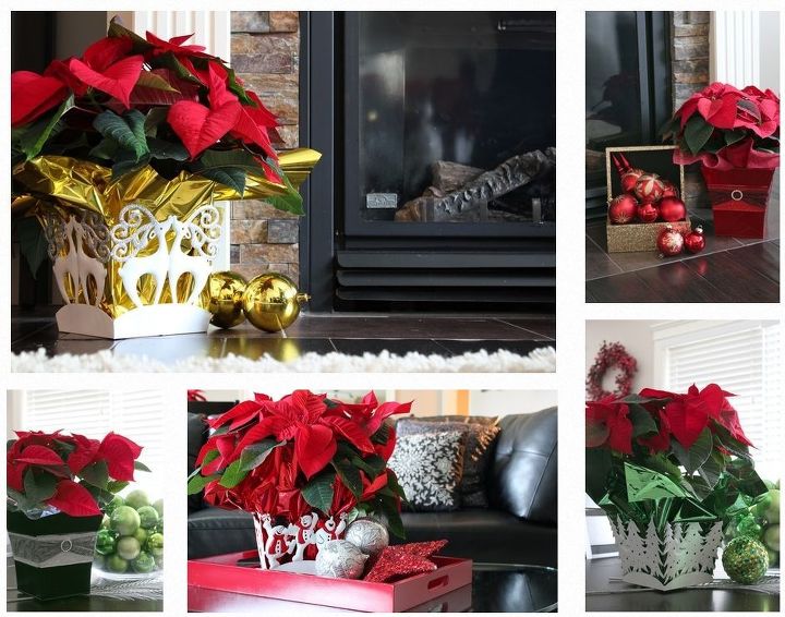 the perfect hostess gift at christmas, christmas decorations, container gardening, gardening, seasonal holiday decor