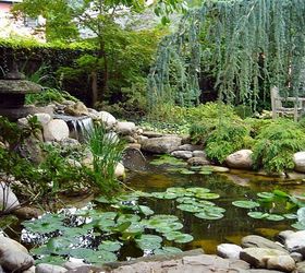 water gardens rochester ny fish ponds, landscape, ponds water features, Backyard Waterfall Water Feature Water Garden by Acorn Landscaping of Rochester NY We offer Pond Servive Pond Repair Pond Restoration Pond Maintenance Pond Installation and Pond Help or Consultations in Rochester NY