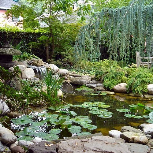 water gardens fish ponds koi ponds rochester ny monroe county