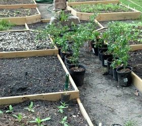 build your own raised colonial gardens, diy, gardening, how to, raised garden beds, woodworking projects, The beginning of the garden is beginning to look an actual raised bed garden