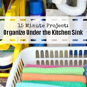 do you know what s lurking under your kitchen sink right now, cleaning tips, kitchen design, Do You Know What s Under Your Kitchen Sink Right Now