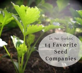 in the garden 14 favorite seed companies, gardening