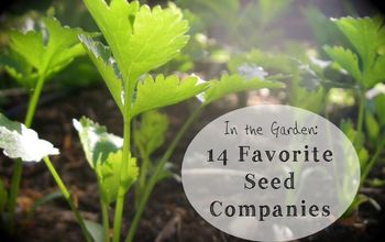 In the Garden: 14 Favorite Seed Companies