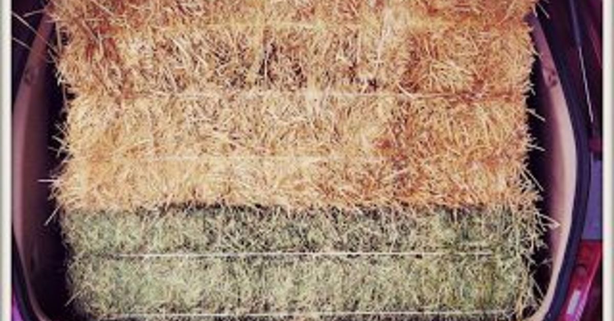 Introduction To Lasagna Gardening | Hometalk