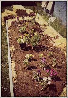 introduction to lasagna gardening, gardening, homesteading, raised garden beds, The finished product