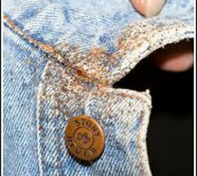 bed bugs facts and info, pest control, eggs and bedbugs on clothing