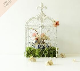 welcome spring with a birdcage, seasonal holiday d cor, Add some fresh pretty moss to the bottom of your birdcage