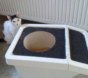 genius diy ikea hack cat top entry litter box, repurposing upcycling, wildlife animals, after happy cat happy owner