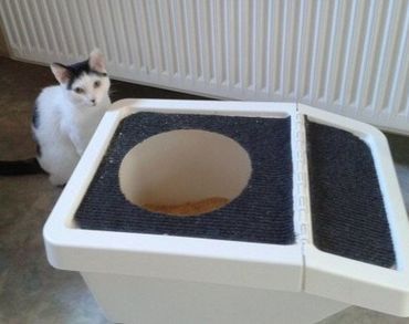 genius diy ikea hack cat top entry litter box, repurposing upcycling, wildlife animals, after happy cat happy owner
