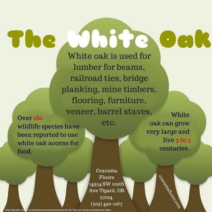 the white oak, flooring