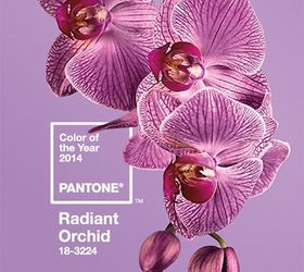 5 big home d cor trends for 2014, bathroom ideas, foyer, home decor, living room ideas, Pantone Color of the Year Radiant Orchid