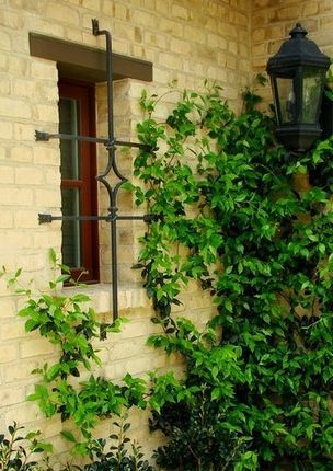 gardening tips how landscaping can keep burglars away, gardening, home security, landscape, lawn care, succulents, Adding extra security has never looked so good The vines look great next to this stylized grate