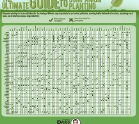 Companion Planting - a Graphic Guide