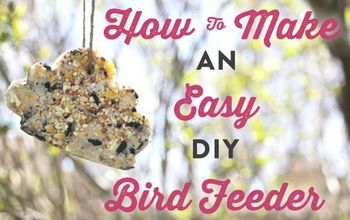  Faça um alimentador de pássaros de biscoito em 8 etapas fáceis