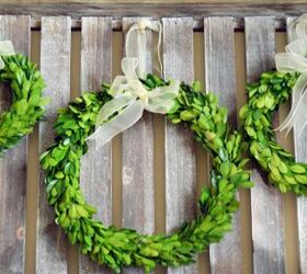 preserved boxwood wreaths with ribbon, home decor
