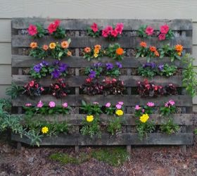 pallet flower garden, flowers, gardening, pallet, repurposing upcycling
