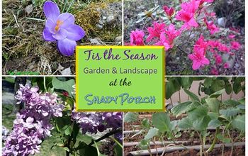 Tis the Season to Garden and Landscape