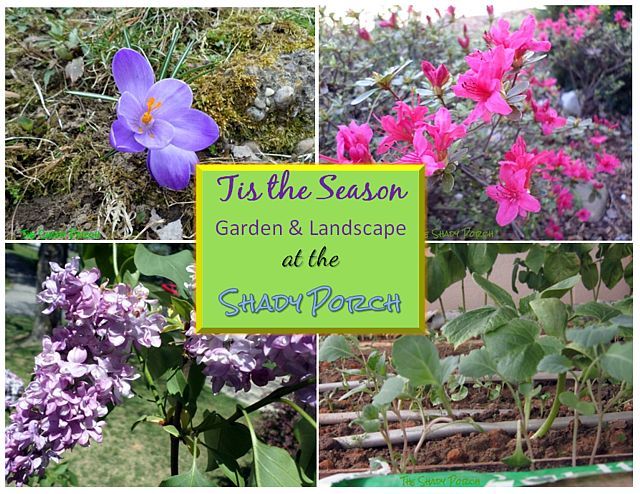 tis the season to garden and landscape, gardening, landscape