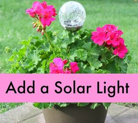 geranium plant with solar light for mother s day, gardening