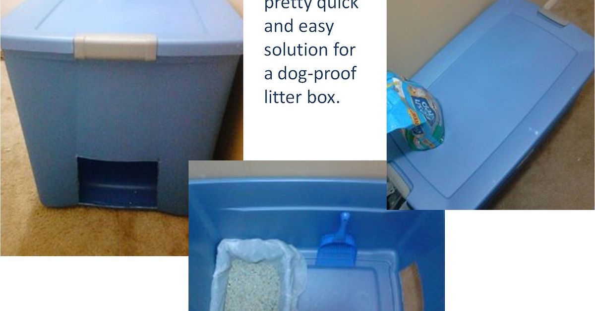 Easy And Quick Solution For Dog Proof Litter Box Hometalk