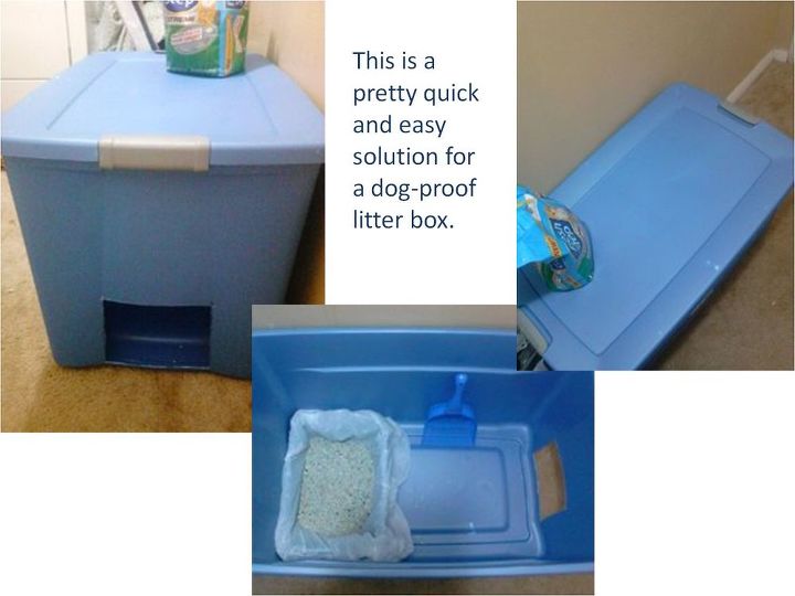 easy and quick solution for dog proof litter box, cleaning tips, pets animals, repurposing upcycling