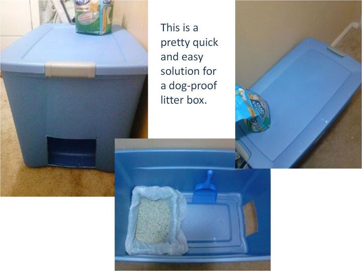 Easy And Quick Solution For Dog Proof Litter Box Hometalk