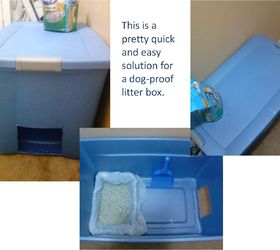 Easy and Quick Solution for Dog- Proof Litter Box