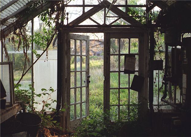whimsical greenhouse inspiration, gardening, outdoor living