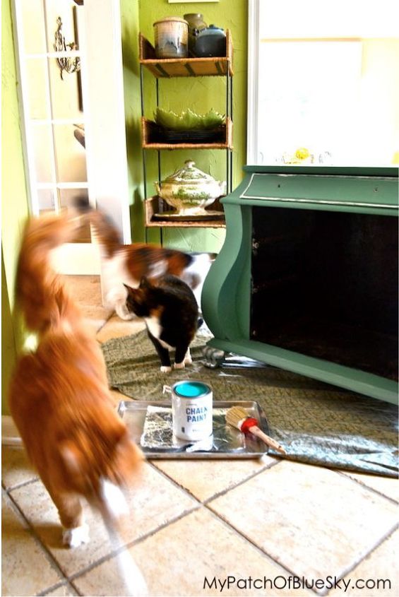 nuestros gatitos aventureros ayudan con un proyecto de chalk paint