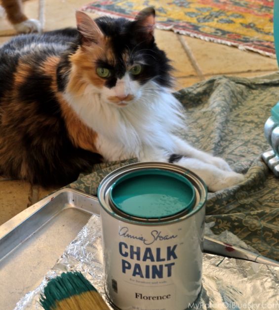 nuestros gatitos aventureros ayudan con un proyecto de chalk paint