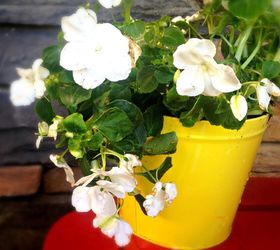 From a Bug Repellent Candle to a Cute Flower Pot!