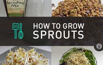 How to Grow Your Own Sprouts at Home