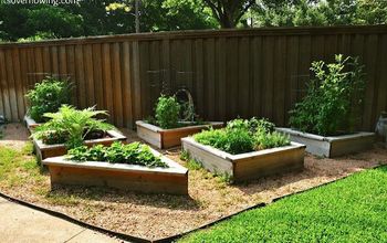 How to Build and Arrange a Raised Bed Vegetable Garden