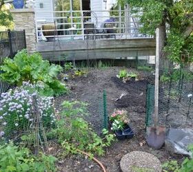 converting wasted space into a kitchen garden, gardening