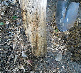 diy driftwood hose holder, decks, gardening, outdoor living, repurposing upcycling