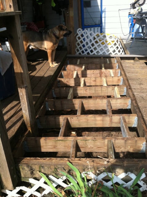 q deck rails barricades, decks, diy, how to, woodworking projects, Watching Daddy work