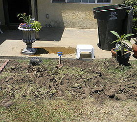 garden photos before and after, gardening