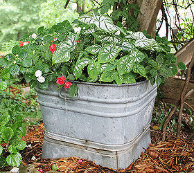 container gardening ideas, container gardening, gardening, repurposing upcycling